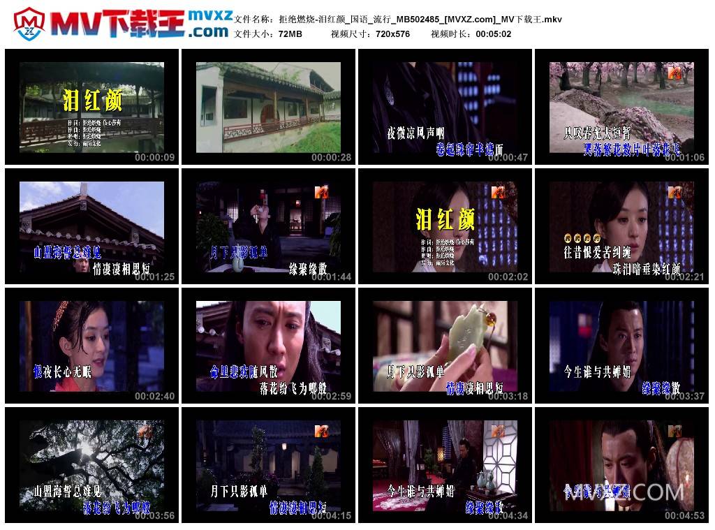 拒绝燃烧-泪红颜_国语_流行_MB502485